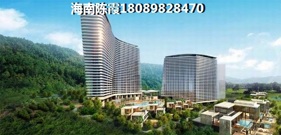 龍棲灣波波利海岸