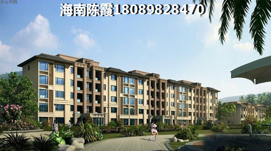 金中海藍鉆VS水云居分析對比