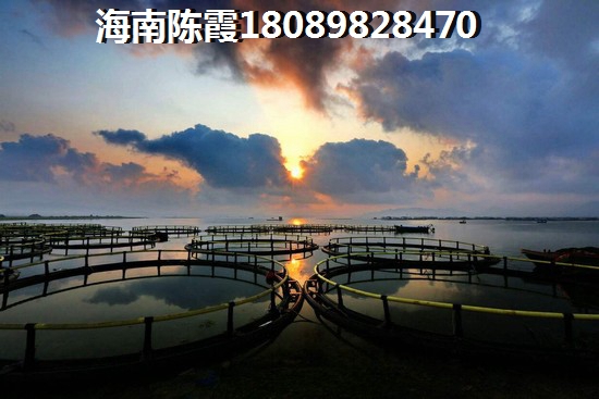 白沙房?jī)r(jià)漲跌預(yù)測(cè)