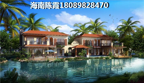 海南全域XG政策