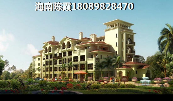 龍棲灣波波利海岸概述