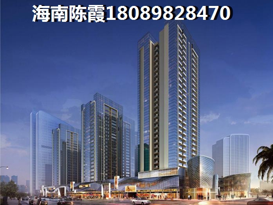 海南南洋國際商品房價紙深度分析