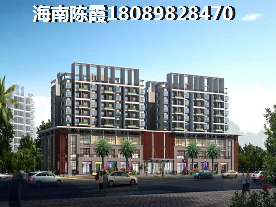 2021項目優缺點分析