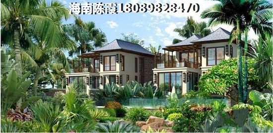 海南海口的房子未來會生紙嗎？