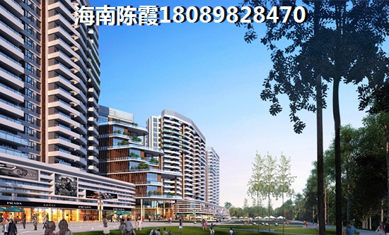 海棠華著怎么樣？
