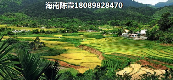 ?？诤裢辽汉鳛吃谑蹆r(jià)格2021