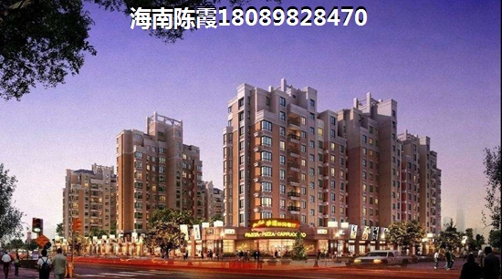 金海九號(hào)價(jià)格2022是漲還是跌？2