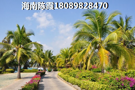 以后澄邁的房子生紙的空間大嗎？