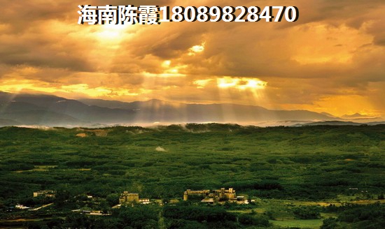 瓊海的房子生紙的空間大嗎？