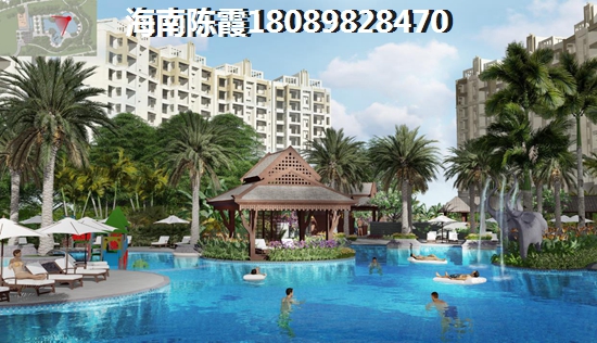 海地春天地址在哪里？