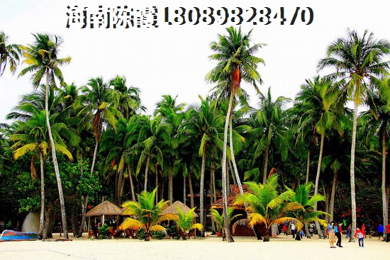 海口羅牛山廣場房價是漲是跌？