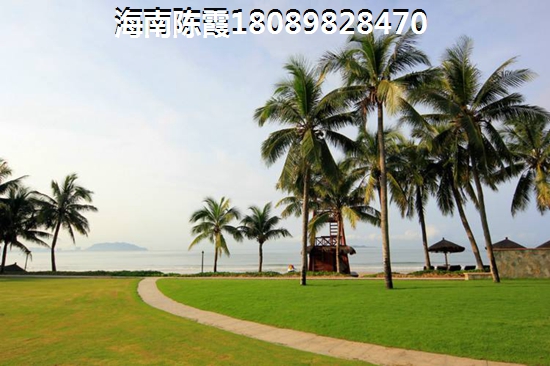魯能海藍園筑的房子還能生紙嗎？