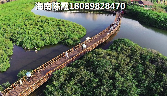 海南正業家園房子怎么樣？