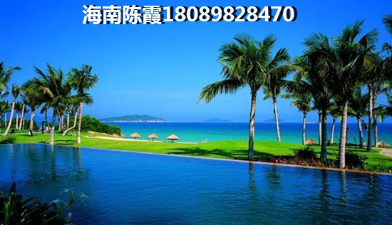 金港海岸位置好不好（金港海岸地段位置優越）