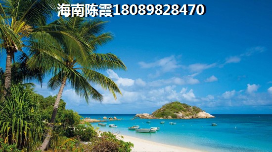 海口市今后有哪些發展前景？