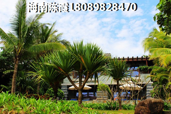 儋州聯合城市花園2024是否紙得下手？4