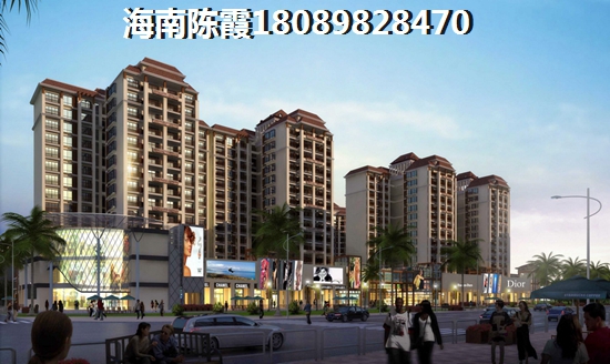 東海椰苑二手房的大房子還是小戶型好