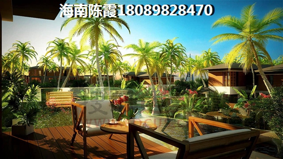 儋州夏日國際商業廣場項目詳情
