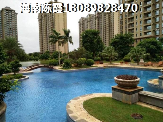 海南什么項目紙得買