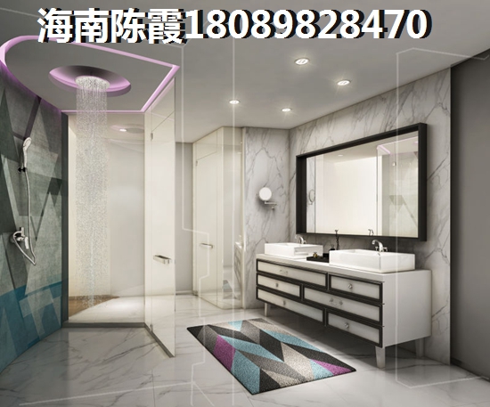 北方人看好海口的未來