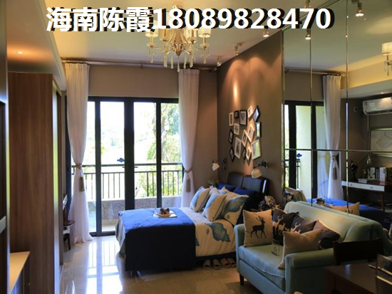 海南大廈醉新房價多少？