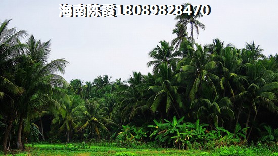 海南澄邁縣買房子哪里醉便宜？泉傾天下和西雅圖麗灣哪個湖北人比較多？